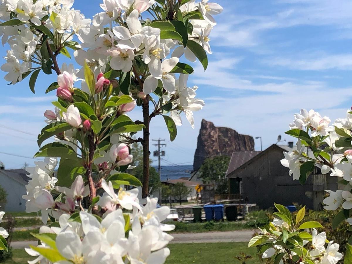 Motel Le Repos Perce Kültér fotó